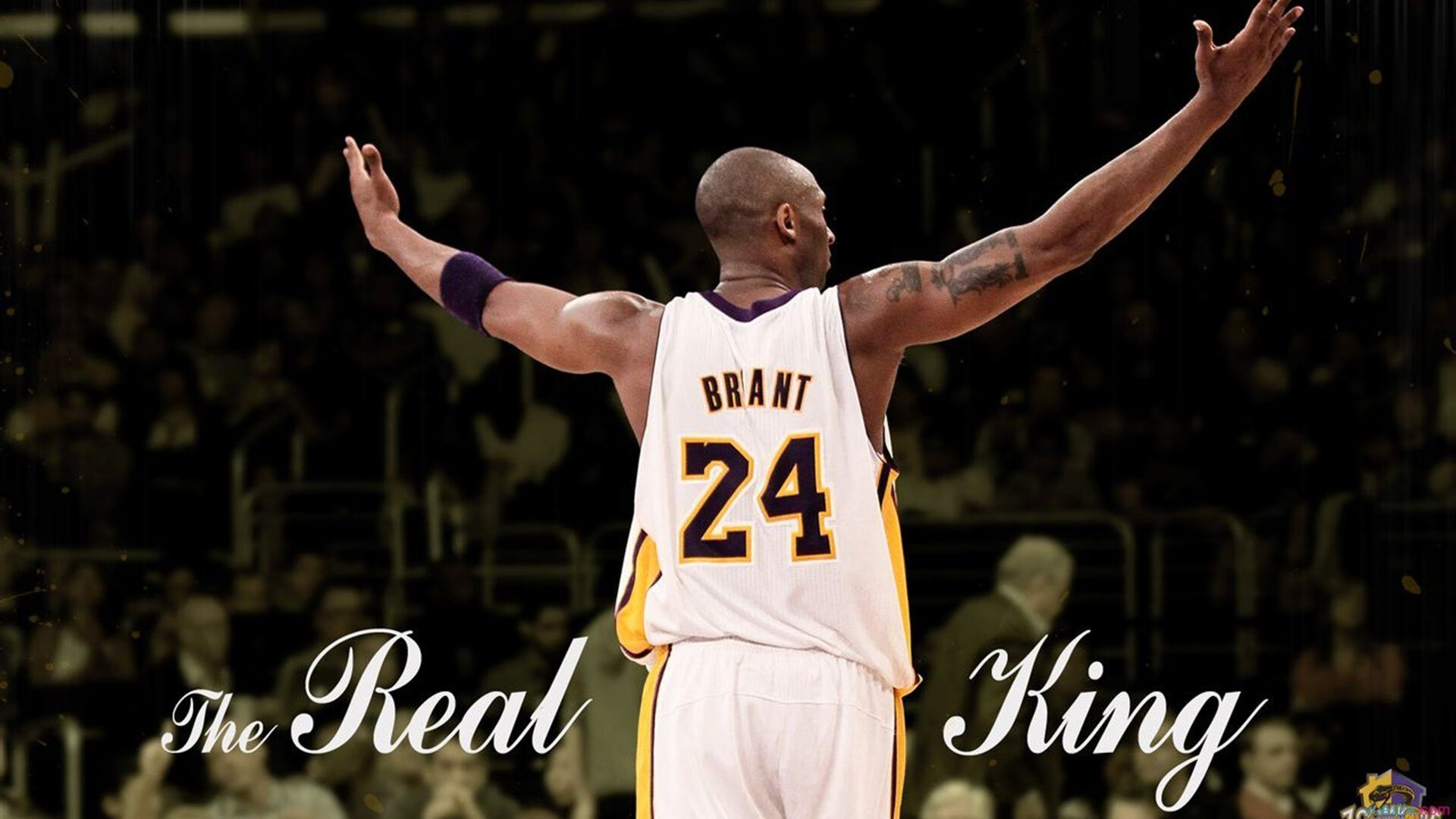 抢七大战惊心动魄，老将新秀联手书写传奇